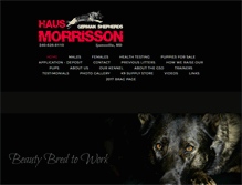 Tablet Screenshot of hausmorrisson.com